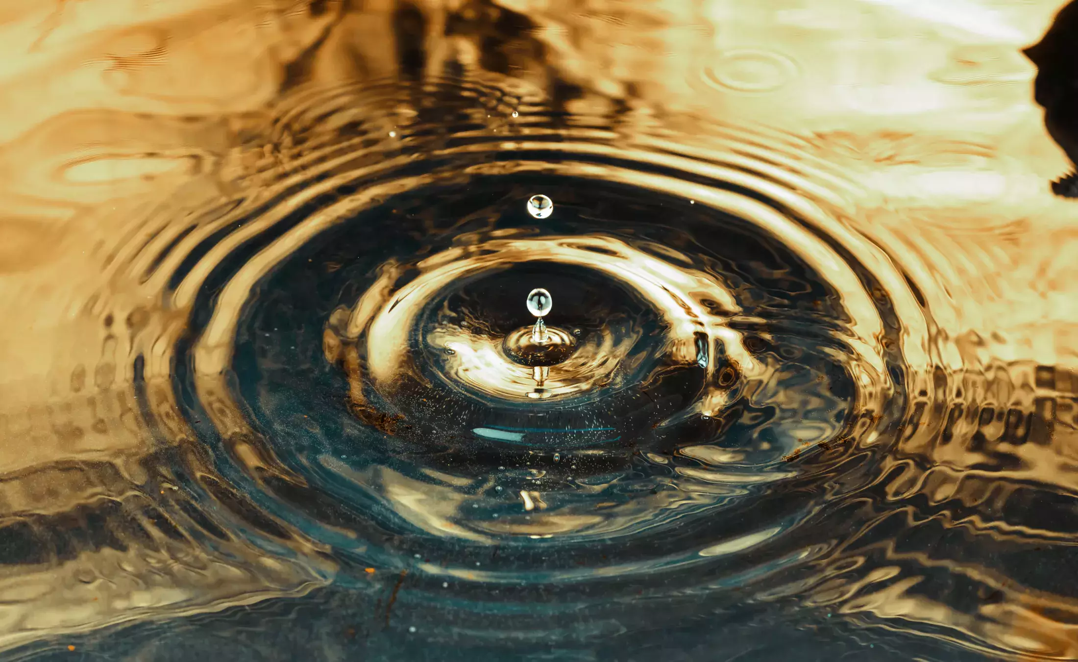 Gain Antenna Measurement using Single Cut Near Field